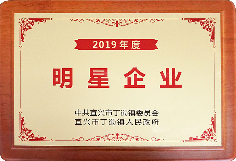 2019年度明星企業(yè)